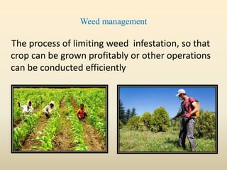 Weed management
The process of limiting weed infestation, so that
crop can be grown profitably or other operations
can be conducted efficiently
 