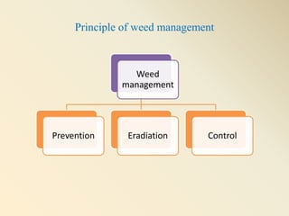 Principle of weed management
Weed
management
Prevention Eradiation Control
 