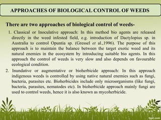 Eco-Friendly Weed Control: Mycoherbicides, Bioagents, and ...