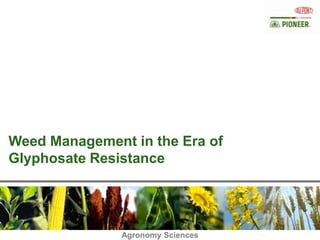 Weed Management in the Era of
Glyphosate Resistance



                  Agronomy Sciences
               Agronomy Sciences
 