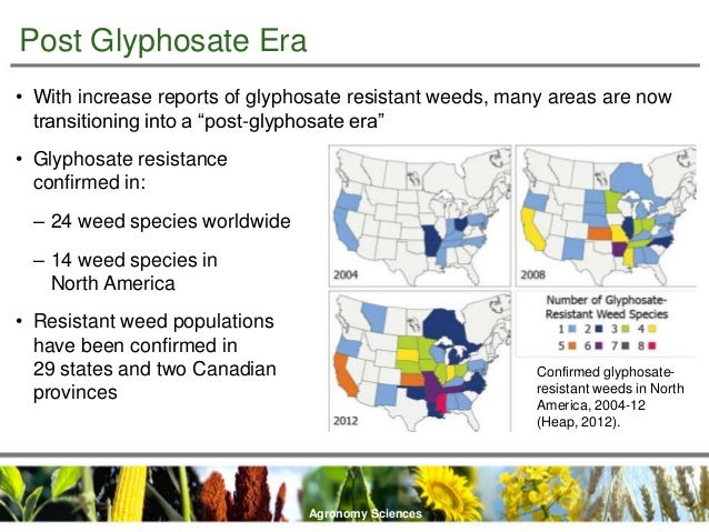 glyphosate resistance