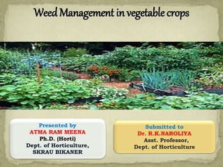Weed Management in vegetable crops
Presented by
ATMA RAM MEENA
Ph.D. (Horti)
Dept. of Horticulture,
SKRAU BIKANER
Submitted to
Dr. R.K.NAROLIYA
Asst. Professor,
Dept. of Horticulture
 