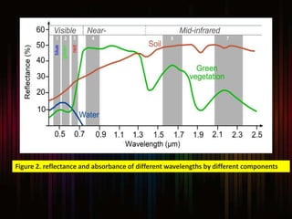 Figure 2. reflectance and absorbance of different wavelengths by different components
 