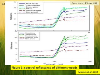 Figure 3. spectral reflectance of different weeds
Mustafa et al., 2013
Grass lands of Texas, USA1)
 