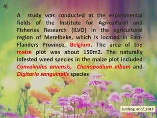 A study was conducted at the experimental
fields of the Institute for Agricultural and
Fisheries Research (ILVO) in the agricultural
region of Merelbeke, which is located in East-
Flanders Province, Belgium. The area of the
maize plot was about 150m2. The naturally
infested weed species in the maize plot included
Convolvulus arvensis, Chenopodium album and
Digitaria sanguinalis species
Junfeng et al.,2017
4)
 