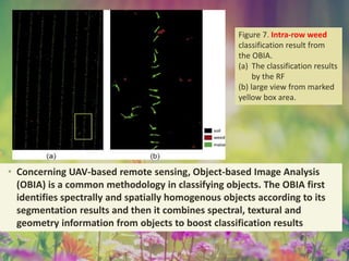 Figure 7. Intra-row weed
classification result from
the OBIA.
(a) The classification results
by the RF
(b) large view from marked
yellow box area.
• Concerning UAV-based remote sensing, Object-based Image Analysis
(OBIA) is a common methodology in classifying objects. The OBIA first
identifies spectrally and spatially homogenous objects according to its
segmentation results and then it combines spectral, textural and
geometry information from objects to boost classification results
 