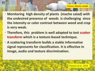 • Monitoring high density of plants (mache salad) with
the undesired presence of weeds is challenging since
the intensity or color contrast between weed and crop
is very weak.
• Therefore, this problem is well adapted to test scatter
transform which is a texture-based technique.
• A scattering transform builds a stable informative
signal represents for classification. It is effective in
image, audio and texture discrimination.
France, Mache salads
Pejman et al., 2019
6)
 