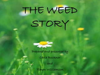 THE WEED
STORY
Prepared and presented by
Carla Bucknor
and
Timon Williamson
 