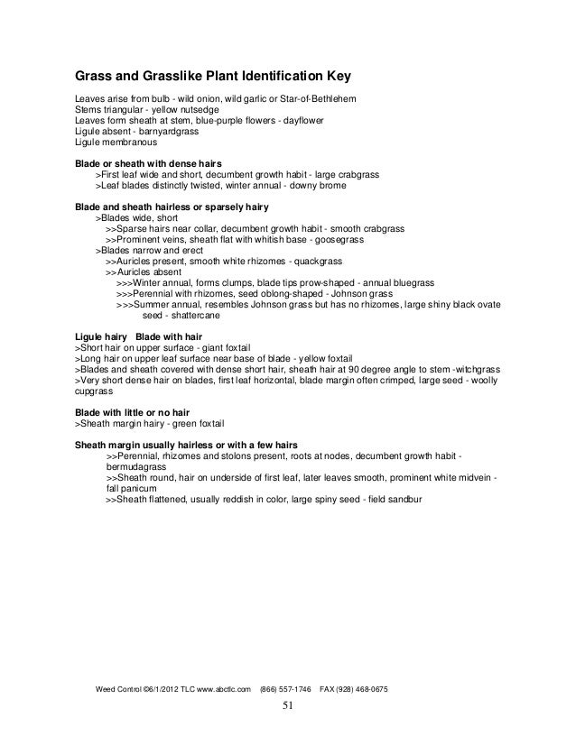 work in the future essay your