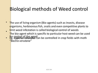 Weeds | PPTX