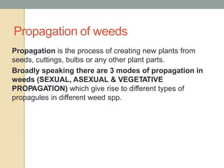 Weeds | PPTX