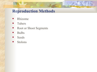 Reproduction Methods Rhizome Tubers Root or Shoot Segments Bulbs Seeds Stolons 