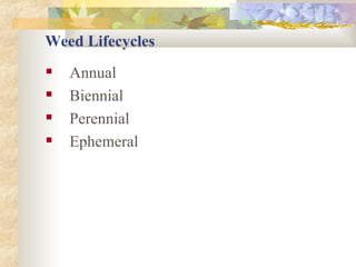 Weed Lifecycles Annual  Biennial Perennial Ephemeral 
