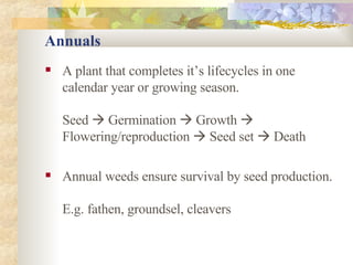 Annuals A plant that completes it’s lifecycles in one calendar year or growing season. Seed    Germination    Growth    Flowering/reproduction    Seed set    Death Annual weeds ensure survival by seed production. E.g. fathen, groundsel, cleavers 