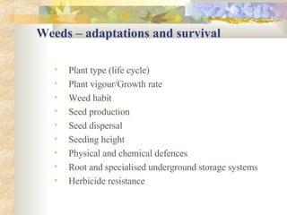 Weeds – adaptations and survival Plant type (life cycle) Plant vigour/Growth rate Weed habit Seed production Seed dispersal Seeding height Physical and chemical defences Root and specialised underground storage systems Herbicide resistance 