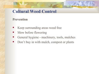 Cultural Weed Control Prevention Keep surrounding areas weed free Mow before flowering General hygiene - machinery, tools, mulches Don’t buy in with mulch, compost or plants 