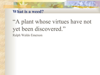 What is a weed? “ A plant whose virtues have not yet been discovered.”   Ralph Waldo Emerson  