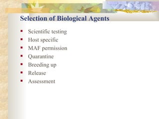 Selection of Biological Agents Scientific testing Host specific  MAF permission Quarantine Breeding up Release Assessment 