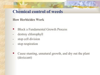 Chemical control of weeds How Herbicides Work Block a Fundamental Growth Process - destroy chlorophyll  - stop cell division - stop respiration Cause stunting, unnatural growth, and dry out the plant (desiccant) 