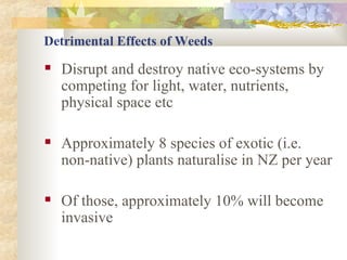 Detrimental Effects of Weeds Disrupt and destroy native eco-systems by competing for light, water, nutrients, physical space etc Approximately 8 species of exotic (i.e. non-native) plants naturalise in NZ per year Of those, approximately 10% will become invasive  