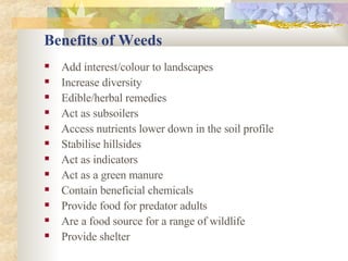 Benefits of Weeds Add interest/colour to landscapes Increase diversity Edible/herbal remedies Act as subsoilers Access nutrients lower down in the soil profile Stabilise hillsides Act as indicators Act as a green manure Contain beneficial chemicals Provide food for predator adults Are a food source for a range of wildlife Provide shelter 