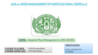 AGR 211 WEEDMANAGEMENT OF HORTICULTURAL CROPS (1+1)
TOPIC: Integrated Weed Management in ASH GOURD
COURSE TEACHER : Dr.R.Poonguzhalan.
COURSE ASSOCIATE : Dr.P.Saravanane.
PRESENTED BY,
K.BALA MURUGAN
16UHR006
 