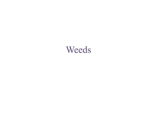 Weeds
 