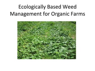 Ecologically Based Weed Management for Organic Farms 