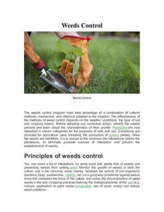 Weeds Control
Weeds Control
The weeds control program must take advantage of a combination of cultural
methods, mechanical, and chemical adapted to the situation. The effectiveness of
the methods of weed control depends on the weather conditions, the type of soil
and cropping history. Before adopting any corrective action, identify the weeds
present and learn about the characteristics of their growth. Pesticides are now
classified in eleven categories for the purposes of sale and use. Exceptions are
provided for agricultural uses (including the production of nursery plants). Once
the weeds are identified, it is to reduce to the minimum the infestations before the
plantations, to eliminate possible sources of infestation and prevent the
establishment of weeds.
Principles of weeds control
You can avoid a lot of infestations by using seed and plants free of weeds and
preventing weeds from setting seed. Monitor the growth of weeds in both the
culture and in the non-crop areas nearby. Increase the activity of soil organisms
(bacteria, fungi, earthworms, insects, etc.) is a good way of defense against weeds
since this increases the force of the culture and active the decomposition of weed
seeds in the soil. Cropping practices favoring the biological activity of the soil (e.g.
manure application or plant waste composted, use of cover crops) can reduce
weed problems.
 