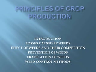 INTRODUCTION
LOSSES CAUSED BY WEEDS
EFFECT OF WEEDS AND THEIR COMPETITION
PREVENTION OF WEEDS
ERADICATION OF WEEDS
WEED CONTROL METHODS
 