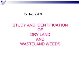 Ex. No. 2 & 3
STUDY AND IDENTIFICATION
OF
DRY LAND
AND
WASTELAND WEEDS
 