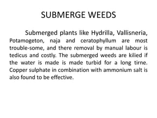 Submerged plants like Hydrilla, Vallisneria,
Potamogeton, naja and ceratophyllum are most
trouble-some, and there removal by manual labour is
tedicus and costly. The submerged weeds are kilied if
the water is made is made turbid for a long tirne.
Copper sulphate in combination with ammonium salt is
also found to be effective.
SUBMERGE WEEDS
 