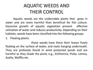 Aquatic weeds are the undesirable plants that grow in
water and are more harmful than beneficial for fish culture.
Excessive growth of aquatic vegetation prevent effective
utilisation of water and reduces productivity. Depending on their
habitats, weeds have been classified into the following groups.
1. Floating plants:
these weeds have there their leaves freely
floating on the surface of water, and roots hanging underneath.
They are profusely found in wind protected ponds and are
harmful as they shade the pond, e.g., Eichhornia, Pisita, Lemna,
Azolla, Wolffia etc.
AQUATIC WEEDS AND
THEIR CONTROL
 