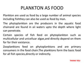 Plankton are used as food by a large number of animal species
including fishthey can also be used as food by man.
The phytoplankton are the producers in the aquatic food
chainand are found in aii waters upto the depth where light
can penetrate.
Certain species of fish feed on phytoplankton such as
multicellular and unicelluar algae,and directly depend on them
for for their existance.
Zooplanktons feed on phytoplanktons and are primary
consumers in the food chain.The planktons form the basic food
for all fish species,directly or indirectly.
PLANKTON AS FOOD
THANK YOU
 