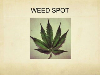 WEED SPOT

 