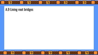 A.9 Living root bridges
 