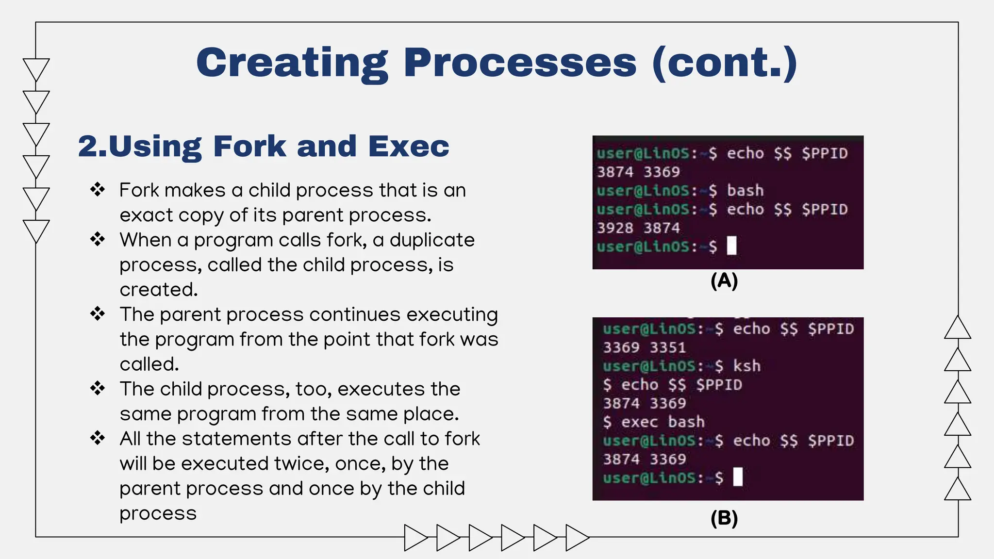 Creating Processes (cont.)
2.Using Fork and Exec
 Fork makes a child process that is an
exact copy of its parent process.
 When a program calls fork, a duplicate
process, called the child process, is
created.
 The parent process continues executing
the program from the point that fork was
called.
 The child process, too, executes the
same program from the same place.
 All the statements after the call to fork
will be executed twice, once, by the
parent process and once by the child
process
(A)
(B)
 