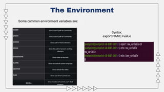 The Environment
Syntax:
export NAME=value
Some common environment variables are:
 