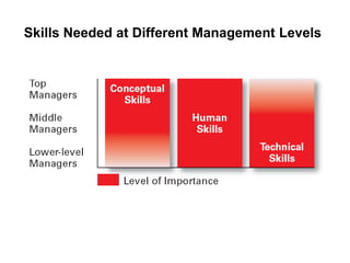 Skills Needed at Different Management Levels
 