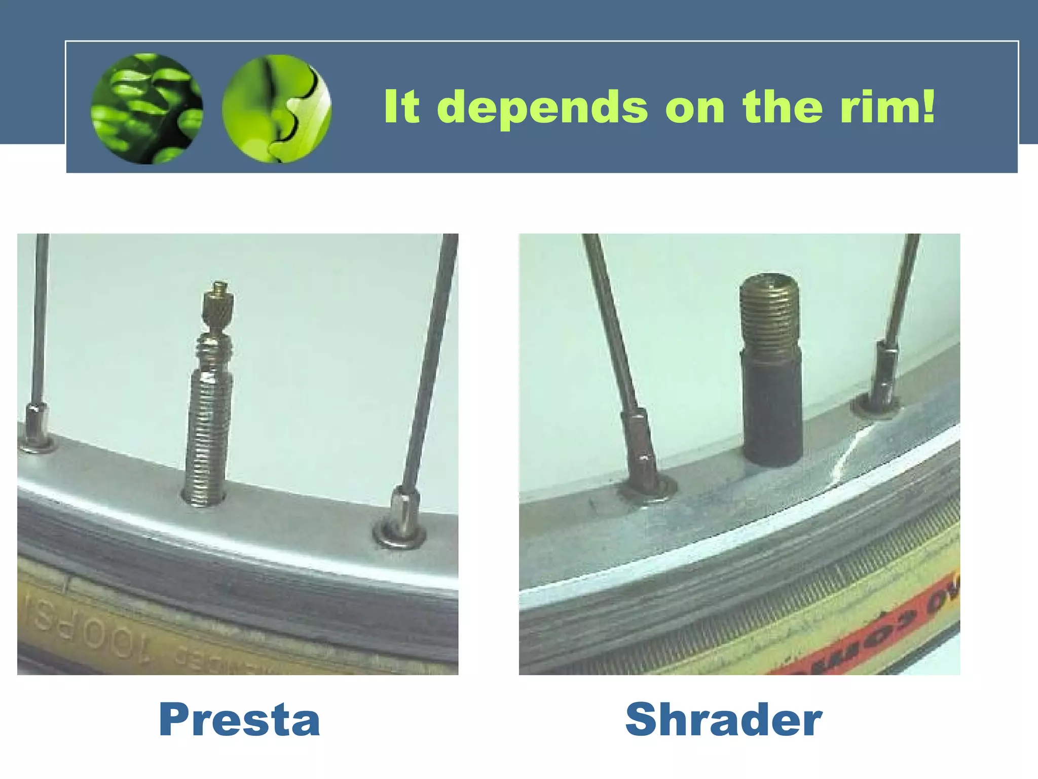 It depends on the rim! Presta Shrader 