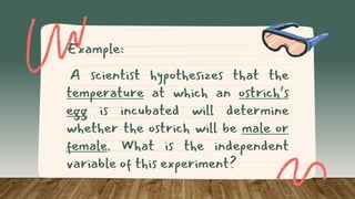 Example:
A scientist hypothesizes that the
temperature at which an ostrich’s
egg is incubated will determine
whether the ostrich will be male or
female. What is the independent
variable of this experiment?
 