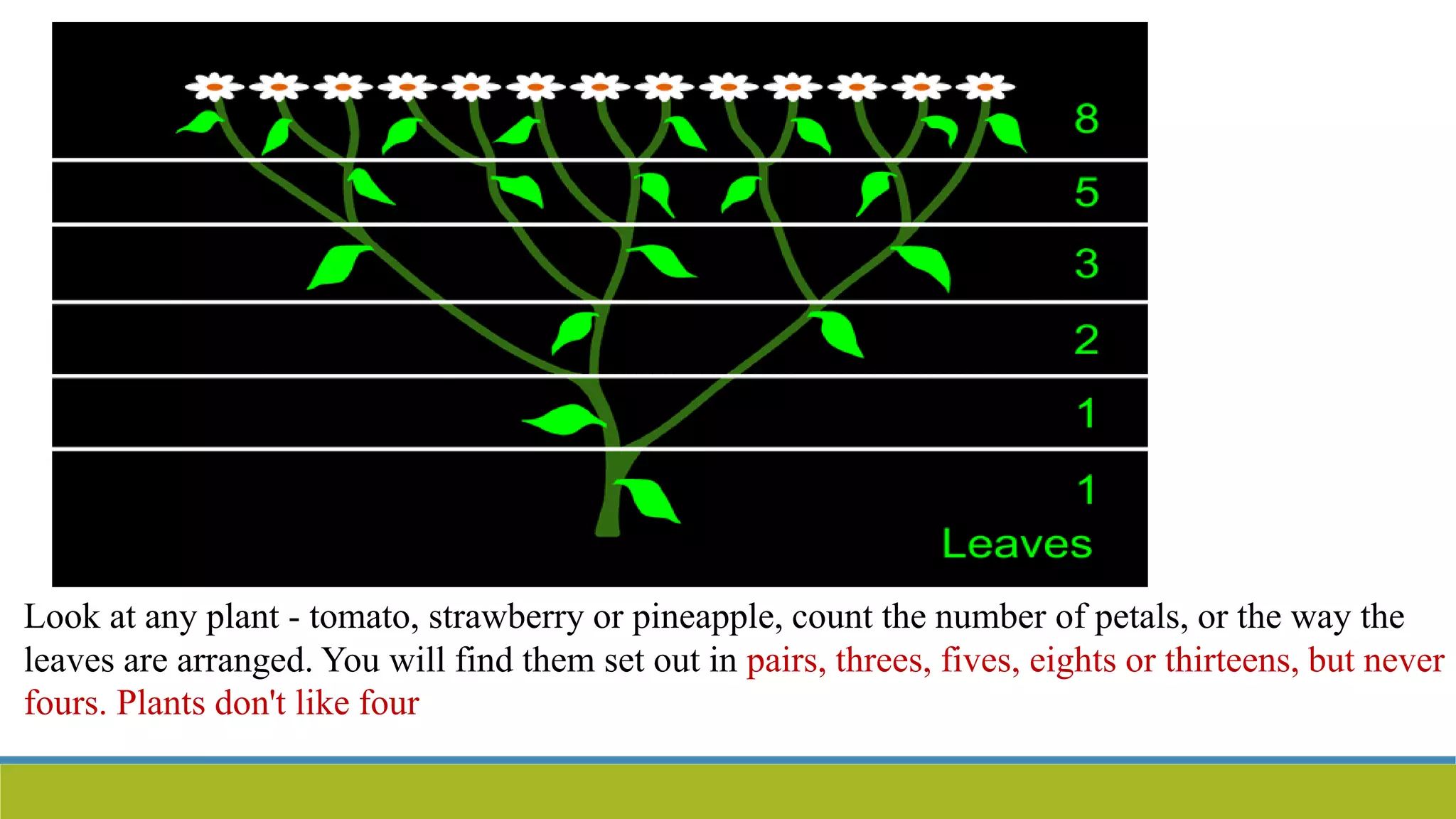 Look at any plant - tomato, strawberry or pineapple, count the number of petals, or the way the
leaves are arranged. You will find them set out in pairs, threes, fives, eights or thirteens, but never
fours. Plants don't like four
 