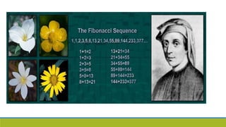 Fibonacci-Sequence | PPT