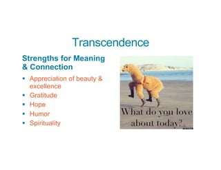 Transcendence
Strengths for Meaning
& Connection
§ Appreciation of beauty &
excellence
§ Gratitude
§ Hope
§ Humor
§ Spirituality
 