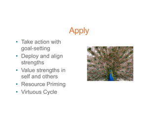 Apply
• Take action with
goal-setting
• Deploy and align
strengths
• Value strengths in
self and others
• Resource Priming
• Virtuous Cycle
 