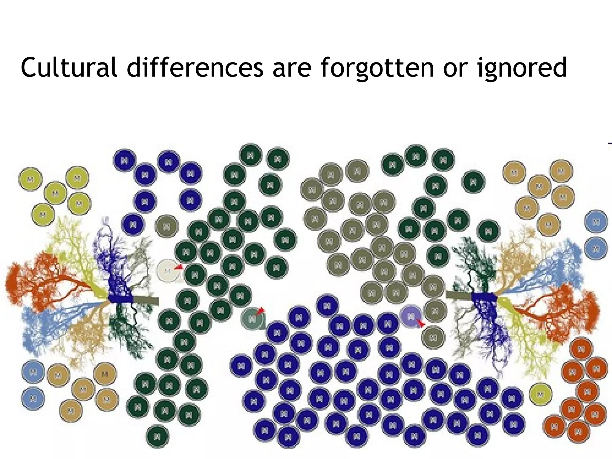 Cultural differences are forgotten or ignored
 