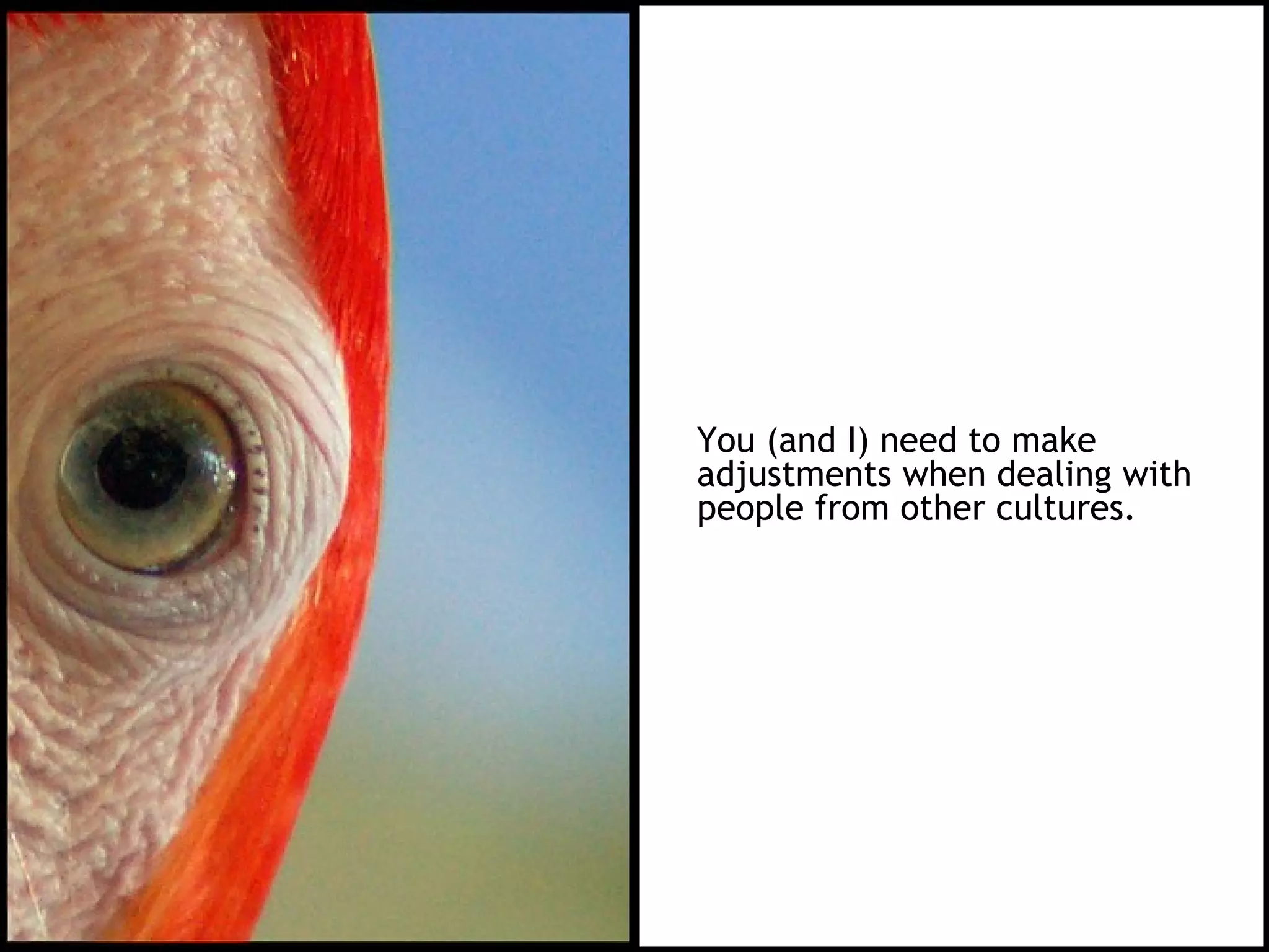 You (and I) need to make
adjustments when dealing with
people from other cultures.
 