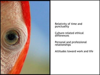 Relativity of time and
punctuality

Culture-related ethical
differences

Personal and professional
relationships

Attitudes toward work and life
 
