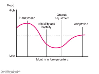 Figure 15.5 Culture Shock Cycle
(Gray & Larson, 2006, p507)
 