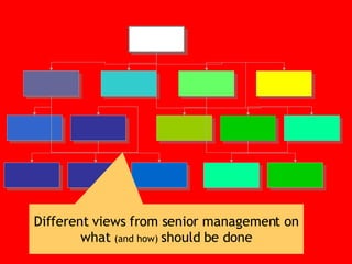 Different views from senior management on what  (and how)  should be done 